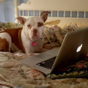 Meet your Posher, Kate